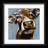 Cow Kisses I Framed Print