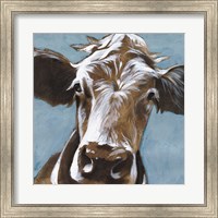 Cow Kisses II Fine Art Print