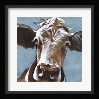 Cow Kisses II Framed Print