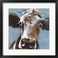 Cow Kisses II Framed Print