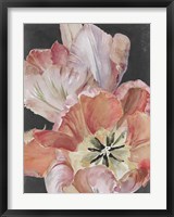 Pastel Parrot Tulips I Fine Art Print