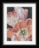 Pastel Parrot Tulips I Framed Print