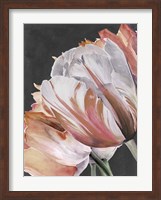Pastel Parrot Tulips III Fine Art Print