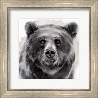 Bear Grin II Fine Art Print