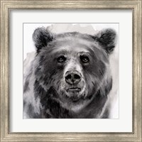 Bear Grin II Fine Art Print