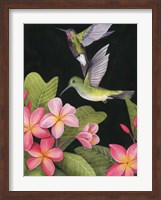 In the Plumeria II Fine Art Print