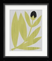 Flower Cutting II Framed Print