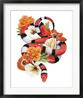 King Snake I Fine Art Print