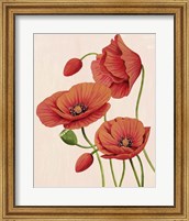 Soft Coral Poppies II Fine Art Print