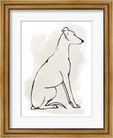 Greyhound Sketch I Fine Art Print