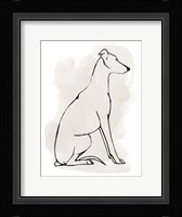 Greyhound Sketch I Fine Art Print