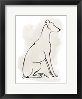 Greyhound Sketch I Fine Art Print