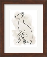 Greyhound Sketch II Fine Art Print