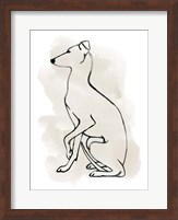 Greyhound Sketch II Fine Art Print