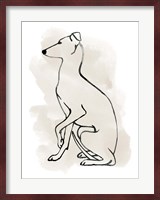 Greyhound Sketch II Fine Art Print