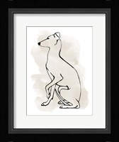 Greyhound Sketch II Fine Art Print