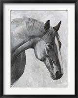 Cavallo I Fine Art Print