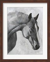 Cavallo I Fine Art Print