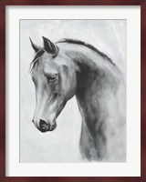 Cavallo II Fine Art Print