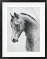 Cavallo II Fine Art Print