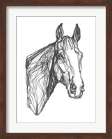 Equine Contour I Fine Art Print