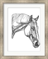 Equine Contour III Fine Art Print