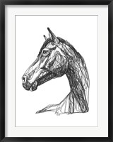 Equine Contour IV Fine Art Print