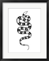 Epidaurus Snake IV Fine Art Print
