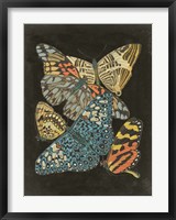 Winged Patterns II Fine Art Print