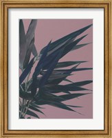 Bamboo Pink I Fine Art Print