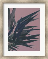 Bamboo Pink I Fine Art Print