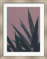 Bamboo Pink II Fine Art Print