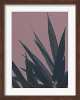 Bamboo Pink II Fine Art Print