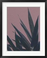 Bamboo Pink II Fine Art Print