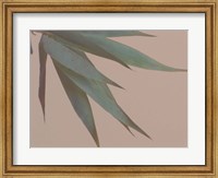 Bamboo Pink IV Fine Art Print