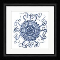 Navy Ocean Gems II Fine Art Print