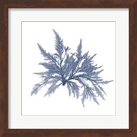 Navy Seaweed V Fine Art Print