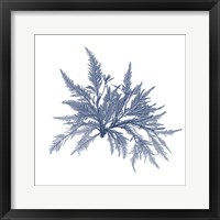 Navy Seaweed V Fine Art Print