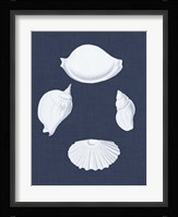 Coquillages Blancs I Fine Art Print