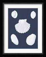 Coquillages Blancs III Fine Art Print
