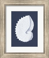 Coquillages Blancs V Fine Art Print