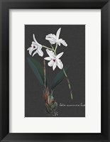Orchid on Slate V Fine Art Print