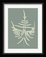 Ferns on Sage I Fine Art Print