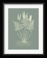 Ferns on Sage VII Fine Art Print
