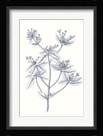 Indigo Botany Study III Fine Art Print