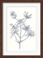 Indigo Botany Study III Fine Art Print