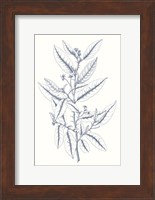 Indigo Botany Study V Fine Art Print