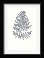 Indigo Botany Study VIII Fine Art Print