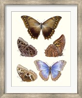 Violet Butterflies I Fine Art Print