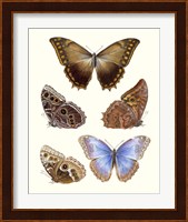 Violet Butterflies I Fine Art Print